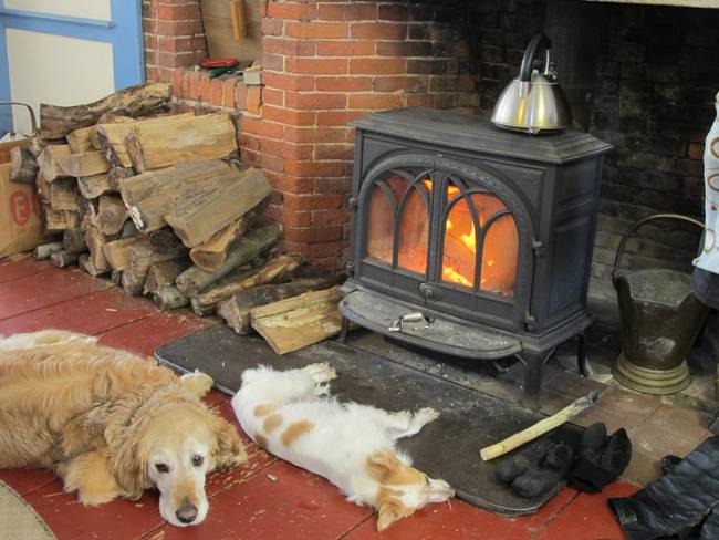 Two dogs laying asleep in front of a lighted wood burner