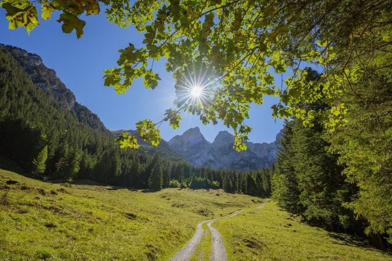 Landscape of mountains, grassland, forest-7523865.jpg