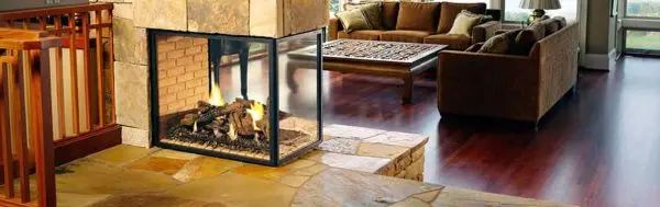 A Living room scene with a decorative log fire in a glass enclosure